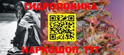 крисы Рыбинск