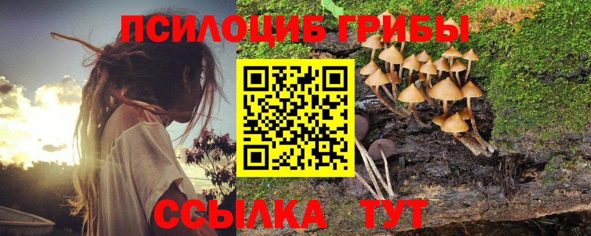 Галлюциногенные грибы прущие грибы Орск